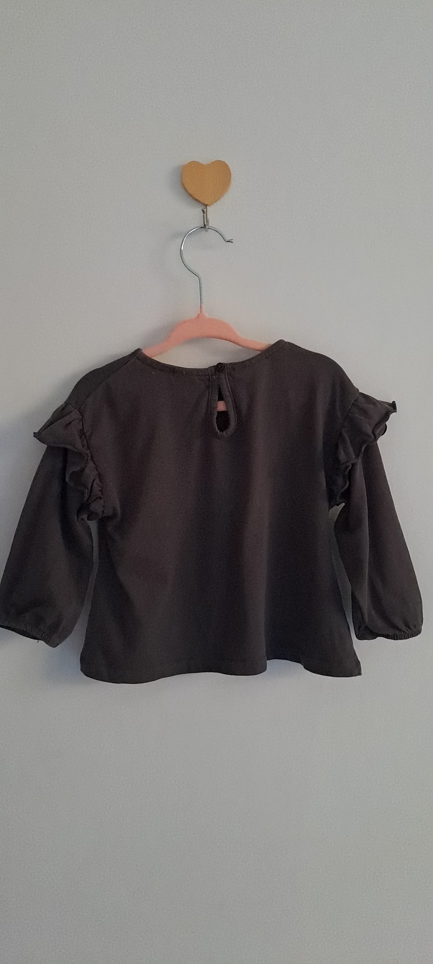 Zara Kids Baby Girl Embroidered Swan Ruffle Sweatshirt 12-18 Months