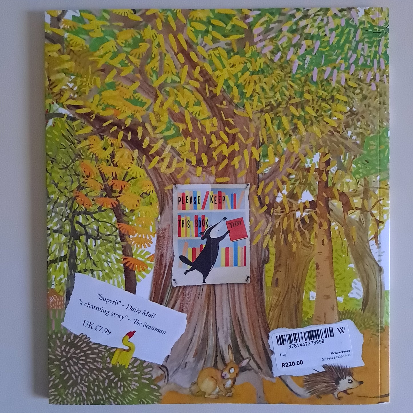 Tidy – Emily Gravett (Paperback Picture Book)
