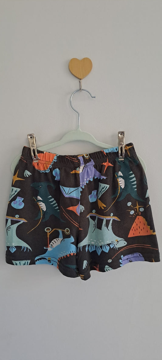 Real Dream Kids Colorful Dinosaur Pajama Pants 3-4 Years