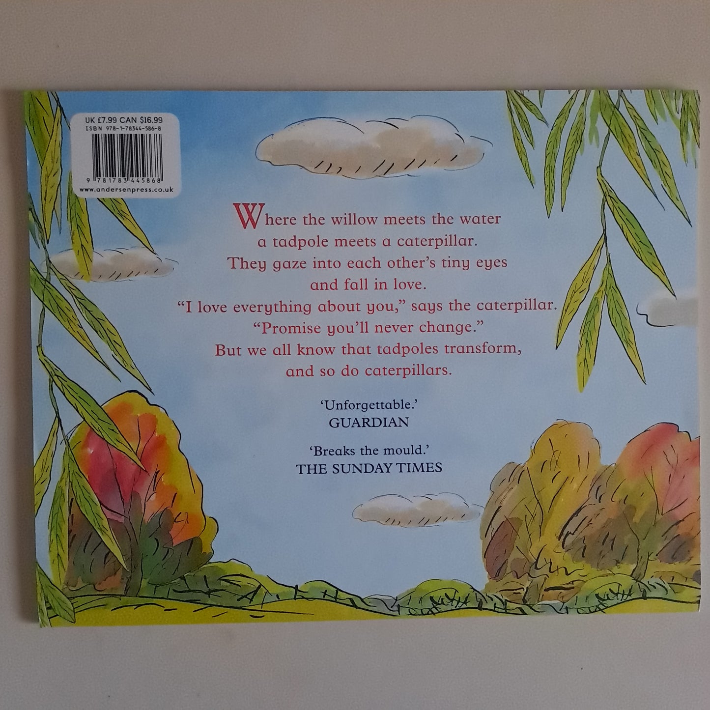 Tadpole's Promise – Jeanne Willis & Tony Ross (Paperback Picture Book)