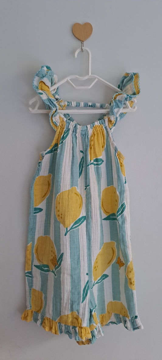 Woolworths Kids Girls Mint Stripe Custom Lemon & Butterfly Jumpsuit 3-4 Years