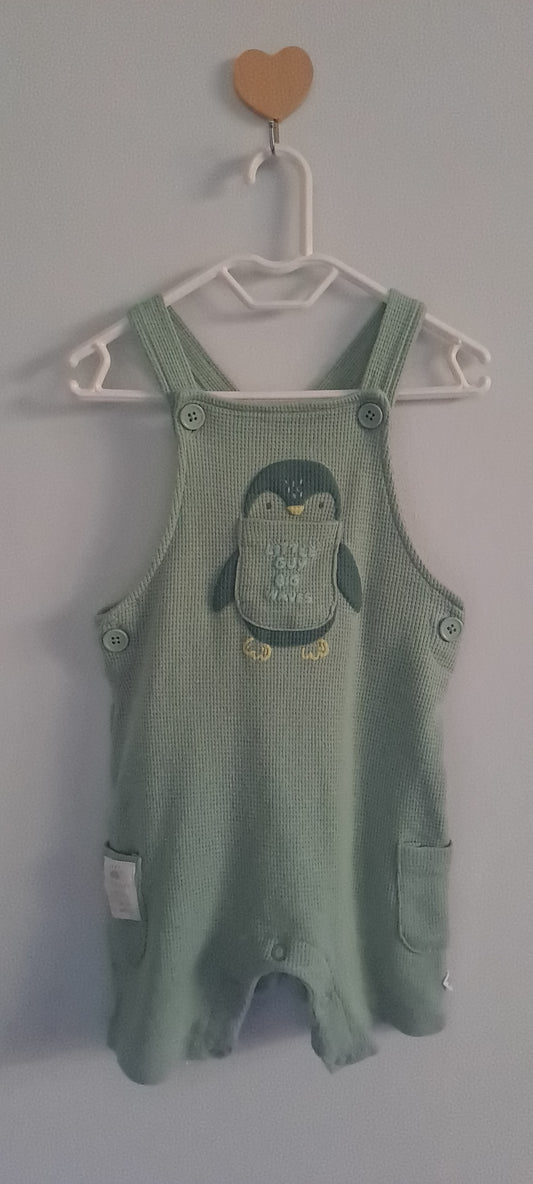 Woolworths Baby Boys Sage Green Waffle-Knit Penguin Dungaree Romper 6-12 Months